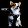 SK Depot® Dog Harness Large Chest 20.5"-36" No-Pull Pet Harness