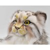 BH7519 HANSA Hand Puppet Manul Cat 40