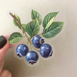 50Pcs Fruits Stickers Teens Realistic Food Fresh Fruits Waterproof Sticker for Water Bottles Laptop Classroom Party Supplies DIY Craft Journals Scrapbook Cottagecore