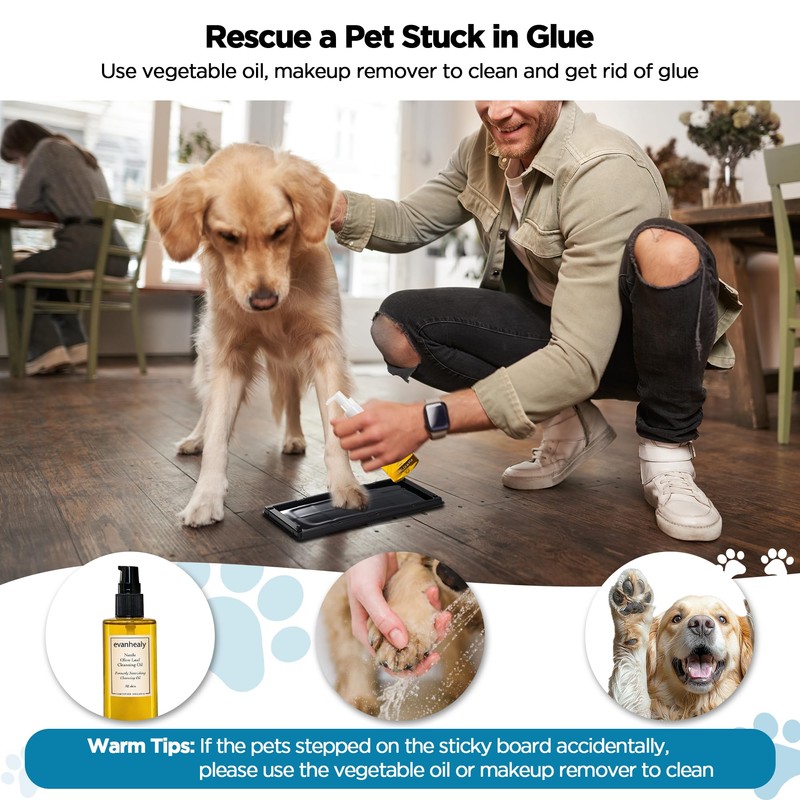 Glue Traps for Mice 12 Pack, Mouse Rat Taps, Extra