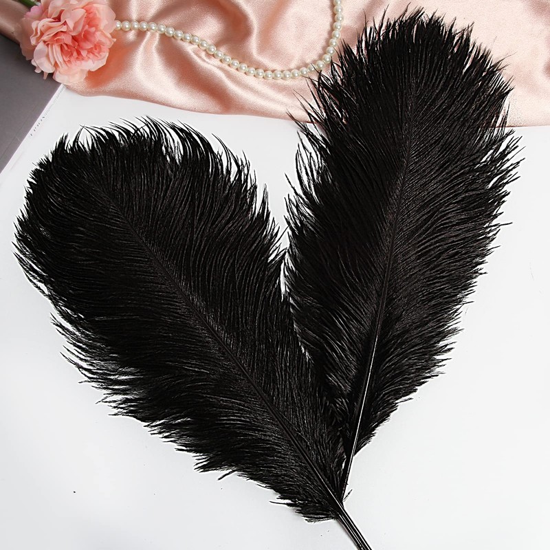 THARAHT Black Ostrich Feathers 12pcs Large Natural Bulk 16-18Inch 40cm-45cm