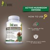 N' MORE Six Active Mushroom Defense Dietary Supplement Supports Immune