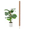 Coco Coir Bendable Moss Pole for Monstera & Cheese Plants,