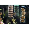 dobar 24081 Bird Feeder Including Four Fat Balls Refillable Wild