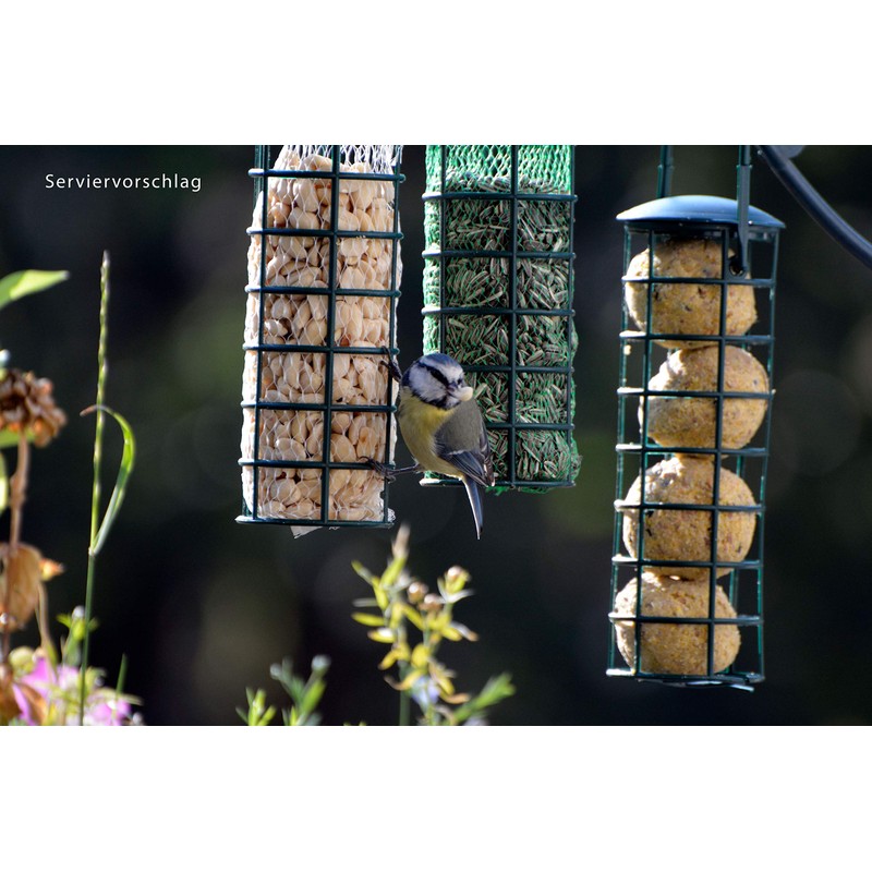 dobar 24081 Bird Feeder Including Four Fat Balls Refillable Wild