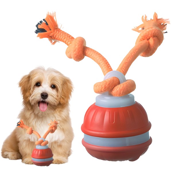 XLTXWD Chase Buddy Dog Toy, Moving Dog Toy, Interactive Dog