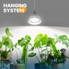 Barrina LED Grow Light Bulb with Timing and Hanging System,