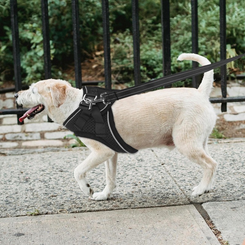 PWOD Double-Sided Reflective Nylon Dog Leash, 4 FT/5 FT/6 FT,