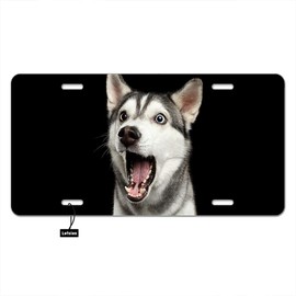Lefolen Husky Dog Surprised Car Front License Plate Cute Animal Puppy Pet Open Mouth Big Eyes Portrait Decorate License Plates 6" X 12" Tag Novelty Vanity Metal Plate Aluminum