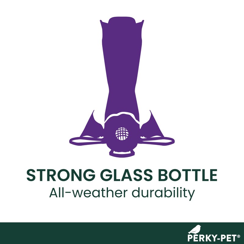 Perky-Pet 203CPBN-2 Glass Hummingbird Feeders for Outdoors with Perches, Ant