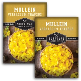 Mullein Seed for Planting - 2 Packets with Instructions to Plant and Grow Medicinal Herb Common Mullein in Your Home Vegetable Garden - Non-GMO Heirloom Variety - Survival Garden Seeds