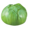Sun Art Cute Tableware "Vegetable and Fruit Series" Sprouted Cabbage