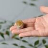 Flower Frog Round Holder Pin Frog, Kenzan Round Floral Arranging