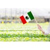 50 Pack Mexico Mexican on Stick Flags,Small Mini Hand Held