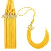 Boao 18 Pieces 2024 Graduation Tassel Academic Hat Tassels with