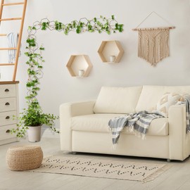 Indoor Plant Trellis for Climbing Plants, DIY Lengths with Connect-Hooks Indoor Chain Trellis Plant with Twist, Ties and Hooks for Vines Pothos