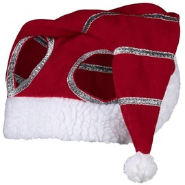Santa Christmas Horse Hat