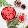 CRAFFANCY 100 Pcs Origami Paper Hearts, Red Double Sided Origami