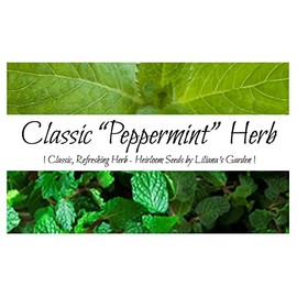 “Peppermint” Mint Seeds – Fast-Growing Mint – Harvest in 90 Days | Never GMO, Always Heirloom and Open-Pollinated | USA Grown Seeds by Liliana's Garden |