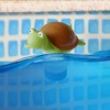 Floating Turtle Chlorine Dispenser - Fits 1 and 3 Inch