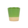 Sass & Belle Green Dip Glaze Mini Planter
