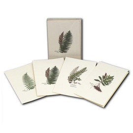 Earth Sky + Water - Fern Notecard Set - 8 Blank Cards with Envelopes (2 Each of 4 Styles)
