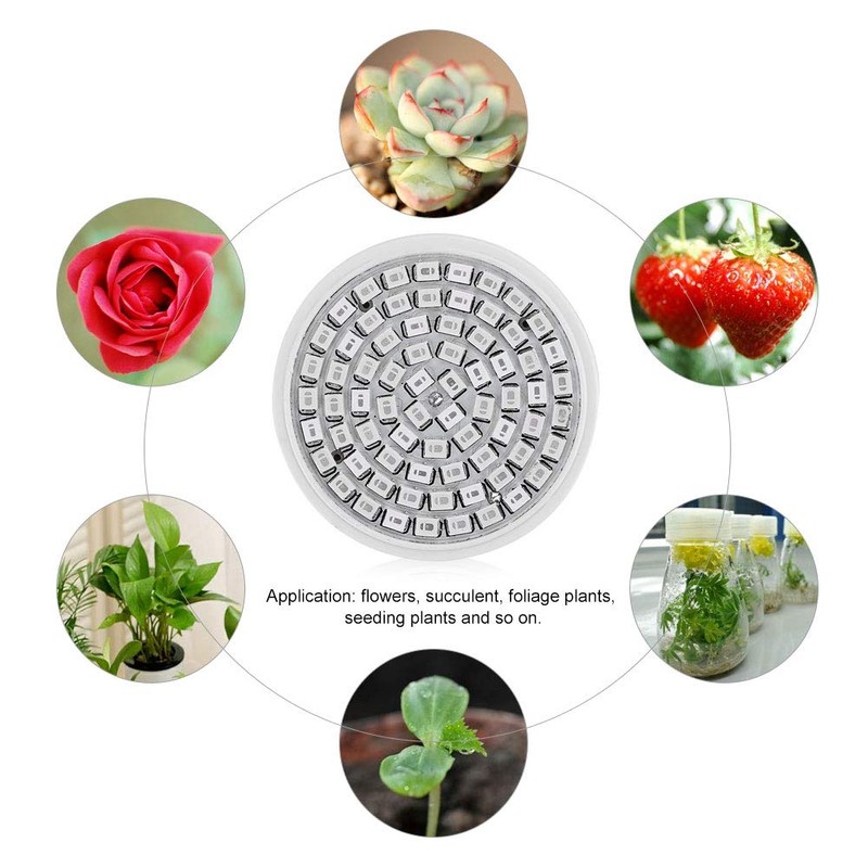 Fdit E27 36W AC 220V 72 LEDs Hydroponic Grow Lamp