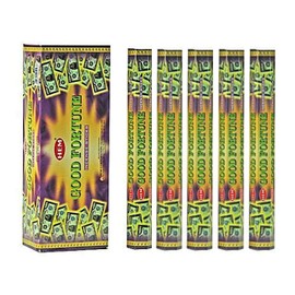 Hem Good Fortune Incense Sticks (100 Sticks, 5 Boxes Inside) - 9 Inches Long, 20g per Box - Perfect for Meditation, Rituals & Cleansing