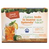 Splenda Monk Fruit 55g