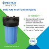 Pentair OMNIFilter Whole Home 10" Heavy-Duty Big Blue Water Filtration