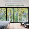 40 Pcs Round Bird Collision Window Stickers,Anti Collision Glass Alert