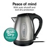 Hamilton Beach Electric Tea Kettle, Water Boiler & Heater, 1.7