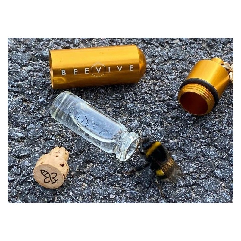 Beevive Bee revival kit (rose gold) - help save honey