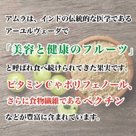 アムラパウダー 食用 アーユルヴェーダ 美容と健康のフルーツ 150g Organic Me (2袋)