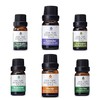 Pursonic Essential Oils Set - Top 6 Aromatherapy Blends Gift