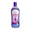 Ayur Herbal Shampoo 1Lt by Ayur