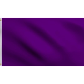 DMSE Solid Blank Flag 3X5 Ft Foot Flag UV Resistant (3x5 Polyester, Purple)