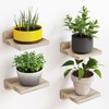 Fixwal Floating Shelves for Wall, Rustic Wood Small Wall Mounted