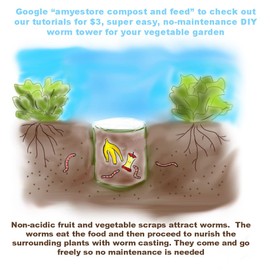 Sow in Fall/Spring-4000 Bok Choy Seeds for Sprouting,Chinese Cabbage Seed for Planting,Microgreen/Sprouting Seeds for Home Vegetable Garden.黑叶白菜 (Pak Choi White Stem, 10g)