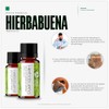 Vida Scents Aceite Esencial Aromaterapia 10ml Difusores Humidificadores 100 Puro