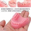 Rubonarie Suture Practice Kit Dental Suture Practice Kit Oral Suture