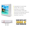 Plug in Dimmable LED Night Light with Dusk to Dawn