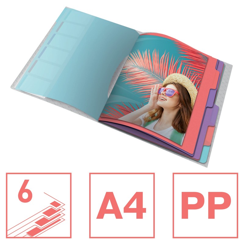 Esselte Colour'Ice A4 Polypropylene File