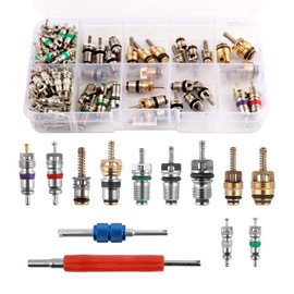 YGDMD 102PCS AC Valve Core Kit,Double Head AC Valve Core Removal Tool with 100PCS ACS Valves Cores,R134A & R12 A/C Valves Cores Kit ACS Tools for Automotive Air Conditioning System Repair