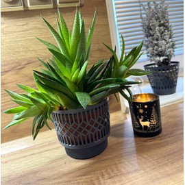 Kimmel Classic Planter, 11 cm, Grey, Set of 3 Flower Planters, Succulent Pot, Cactus Pot, Plant Pot, Flower Pot, Orchid Pot, Decorative Pot