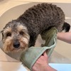 SPOT Clean Paws Chenille Microfiber Dog Towel, Super Absorbent with