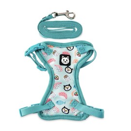 Vibrant Life Cat Harness & Leash NEW