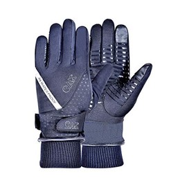 AK Neue Wintec AKRS-8391 Unisex Winter Riding Gloves Waterproof Winter Gloves (Black, XL)