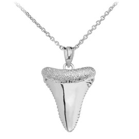 Shark Tooth Fine Pendant Necklace with 20" Rolo Chain Real Solid .925 Sterling Silver