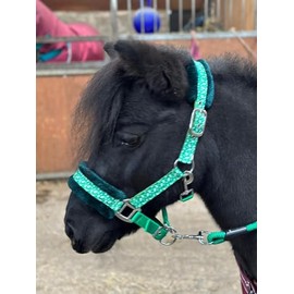 Headcollar Lead Rope Set with Christmas Ho-Ho Print Green Full-Mini Shetland (Pony)